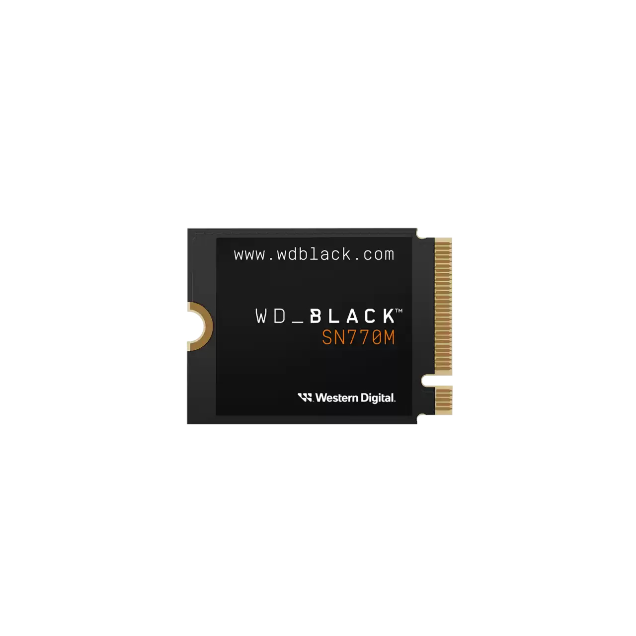 SSD WESTERN DIGITAL WDS100T3X0G