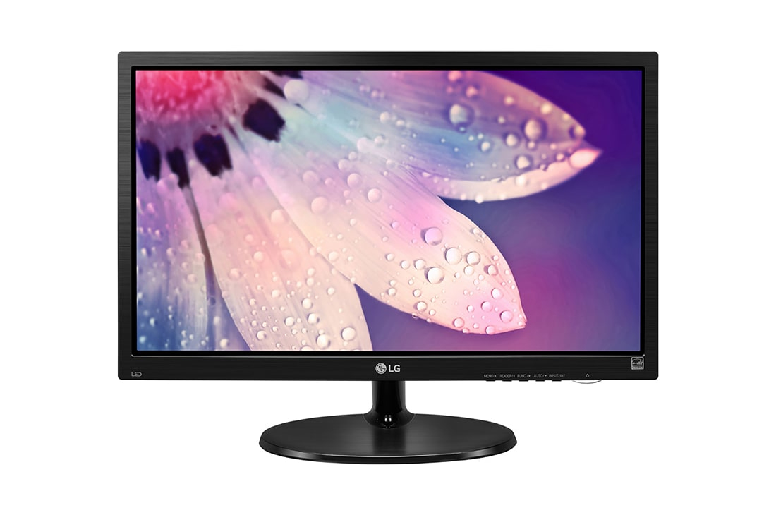 Monitor LG 19M38H