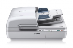 Escáner EPSON DS-6500